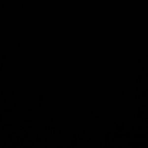 Meet your Posher, Amena